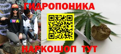 МДПВ Лесосибирск