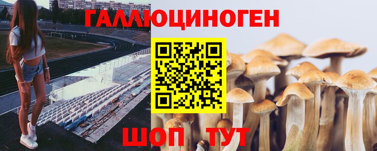 Псилоцибиновые грибы прущие грибы  Вход с VPN  Псилоцибиновые грибы прущие грибы  Армавир 
